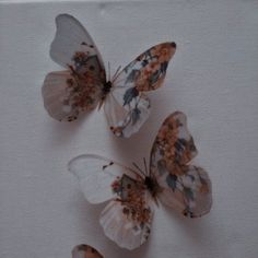 three white butterflies with brown spots on their wings are sitting next to each other in front of a white wall