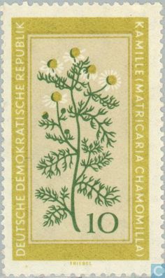 a postage stamp with a tree and flowers on the front, which reads 10 cents