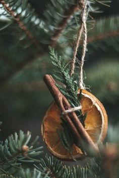 an orange ornament hanging from a pine tree with cinnamon stick and green leaves