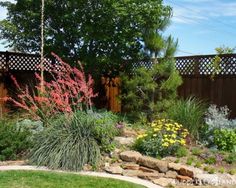 a garden with lots of plants and rocks