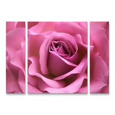 Completely eye catching, this Misty Pink Rose Canvas Wall Art 3-piece Set is a charming find. Completely eye catching, this Misty Pink Rose Canvas Wall Art 3-piece Set is a charming find. Beautiful rose design Artist: Cora NieleDETAILS Medium 3-piece set: two 24"H x 6"W pieces & one 24"H x 20"W piece, Large 3-piece set: two 30"H x 8"W pieces & one 30"H x 25"W piece Weight: 6.95 lbs. Canvas Attached sawtooth hook Horizontal display Spot clean Size: 30X40. Color: Multi. Gender: unisex. Age Group: How To Shade, Shade Flowers, Beautiful Rose, Rose Design, Backyard Pool, Trademark Fine Art, Beautiful Roses, Pink Rose, 3 Piece