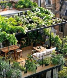 an apartment balcony with lots of plants growing on the roof and furniture in the foreground