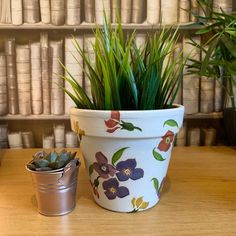 a potted plant sitting on top of a wooden table