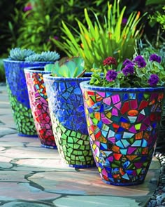 three colorful flower pots with plants in them on a stone walkway next to some rocks