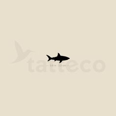 a black and white photo of a shark in the ocean with text that reads tattoeco