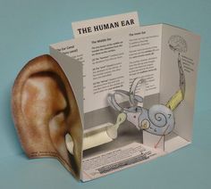 the human ear is open to show information about its structure and function, as well as instructions on how to use it