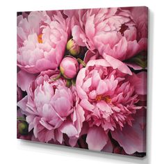 pink flowers are displayed on a white wall