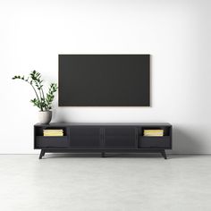 an empty room with a television and plant on the sideboard in front of it