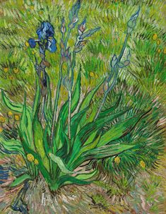 a painting of blue irises in the grass with yellow and green flowers behind it