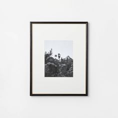 a black and white photo hanging on the wall next to a framed photograph with trees in the background