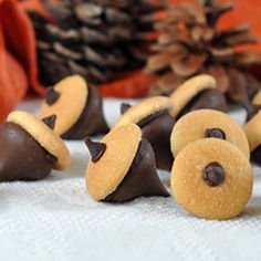 chocolate covered candies are arranged in the shape of animals