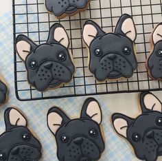 cookies decorated with black and white icing depicting french bulldogs on a cooling rack next to blue checkered napkins