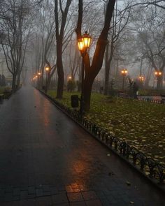 a street light sitting on the side of a road next to a park filled with trees