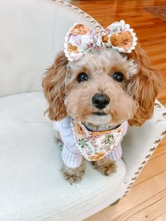 a small dog sitting on top of a chair wearing a flowered shirt and bow tie