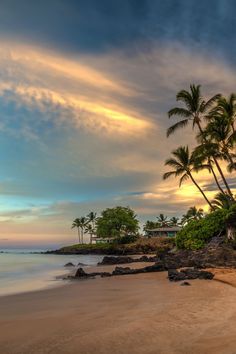 palm trees line the beach as the sun sets