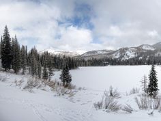 a snow covered field with trees and mountains in the background