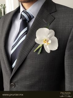 a man wearing a suit and tie with a flower in his lapel pin on his lapel