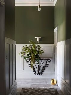 a hallway with green walls, white trim and a potted plant on the wall