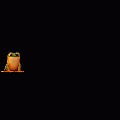 a frog sitting in the dark with its eyes wide open