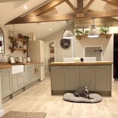 a dog laying on top of a bed in a kitchen