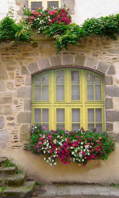 a blue window with flower boxes on it