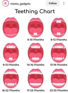 Baby Teething Chart, Baby Tooth Chart, Teeth Chart, Baby Solids, Teething Chart, Alexander Yakovlev, Baby Chart, Baby Remedies, Nutrition Infographic