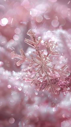 Snowflake photo outdoors crystal glitter. | premium image by rawpixel.com / Bambamfefe Christmas Glitter Wallpaper, Glitter Iphone Wallpaper, Christmas Backgrounds Aesthetic, Christmas Snowflakes Wallpaper, Wallpaper Cross, Pink Christmas Aesthetic, Snowflakes Wallpaper, Christmas Color Schemes, Snowflake Photography