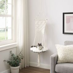 two cats sitting in a hanging cat bed