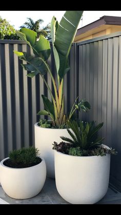 two large white planters sitting next to each other on a cement slab in front of a fence