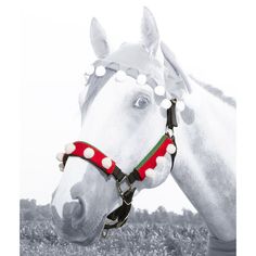 a white horse wearing a red and green bridle