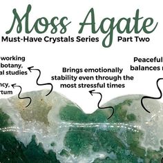 the moss agate has many different types of rocks and is labeled with their names