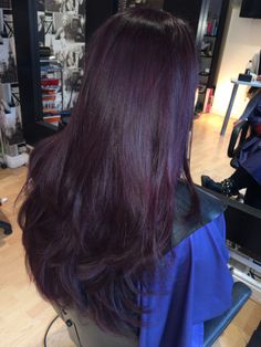 Dark Purple Over Brown Hair, Berry Brown Hair Color Purple, Dark Purple Layered Hair, Super Dark Purple Hair, Purple Layers Hair, Dark Purple Undertone Hair, Dark Purple Hair No Bleach, Hair Colour Purple Dark, Rich Purple Hair