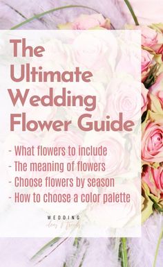 the ultimate wedding flower guide with pink roses and white feathers on purple background, text reads'the ultimate wedding flower guide '