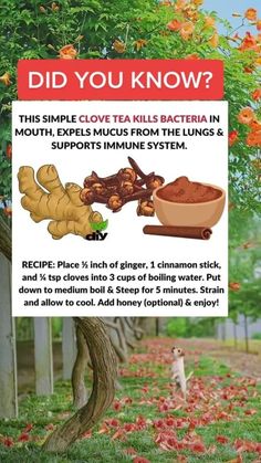 Herbal Remedies Recipes, Sick Remedies, Natural Healing Remedies, Herbal Healing, Herbs For Health, Health Drink, Healing Herbs