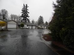 a wet street with houses and trees in the background