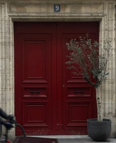 Oxblood Aesthetic, Merlot Aesthetic, Dark Maroon Aesthetic, Bordo Aesthetic, Wine Red Aesthetic, Bordeaux Aesthetic, Am I A Bad Person, Vino Color, Maroon Aesthetic