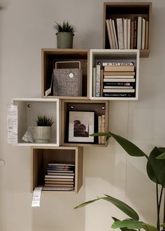 a shelf with books and plants on it next to a potted plant in the corner