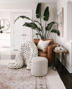 a living room filled with furniture and a large potted plant