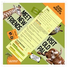 a brochure with an image of animals and words on it that say meet new friends