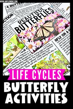 butterflies and flowers with the words life cycles butterfly activities on top of each other in pink