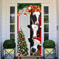 two cows wearing santa hats standing in front of a door with christmas decorations on it