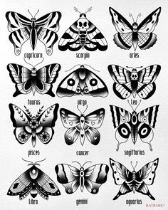 the different types of moths in black and white, with their names on each one