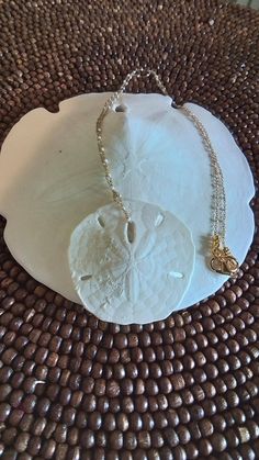 A natural clean bright white sand dollar is strung on a 20 inch beaded chain. The dainty chain is gold with tiny white beads throughout the chain. It's a perfect addition to your summer jewelry.  It will look fabulous with fine gold chains. Wear it with sporty beach clothes or a cute summer dress. It measures  24" with the sand  dollar amulet  It's  Ready to ship out quick dispatch free shipping. Nickel-free Round Necklaces For The Beach, White Starfish Jewelry For Vacation, White Starfish Charm Jewelry For Vacation, White Jewelry With Starfish Charm For Vacation, Adjustable White Jewelry With Starfish Charm, White Ocean-inspired Jewelry With Starfish Charm, Ocean-inspired White Jewelry With Starfish Charm, Delicate Gold Beach Jewelry, Adjustable Delicate Chain Necklace For Beach