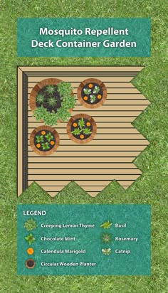 an info sheet with plants in pots on it and the words mosquito repellent deck container garden