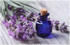 10 Essential Oils For Spiritual Protection & Cleansing Lavender Oil Recipes, Lavender Oil Uses, Lavender Oil Benefits, Best Facial Hair Removal, Lavender Seeds, Lavender Benefits, Lavender Water, Best Essential Oils, Oil Uses