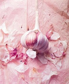 an onion and garlic on a pink background