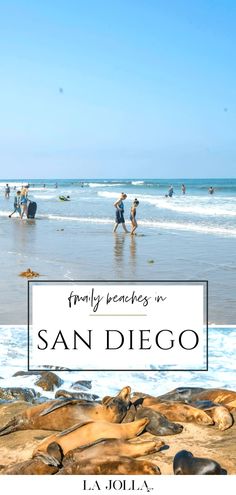 people walking on the beach with sea lions in the foreground and text overlay that reads family beaches san diego