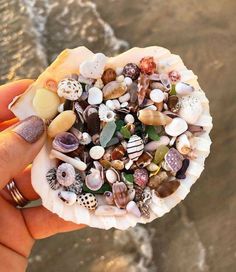 a hand holding a shell filled with lots of different types of seashells on the beach