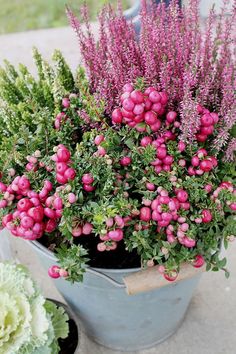 purple flowers are in a bucket next to other plants