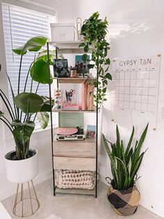 a room with plants, bookshelf and other things on the shelves in it